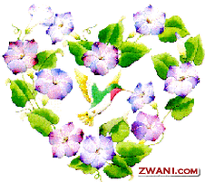 zwani.com myspace graphic comments