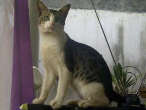 533835_436000479791930_34906828_n