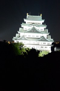 _DSC1129_2