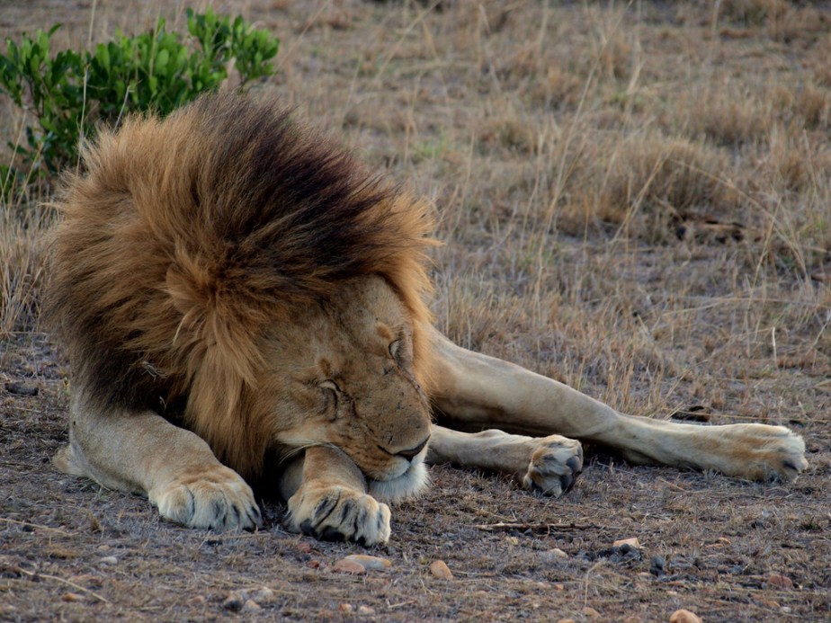 4030158954_f2bcd02515_b