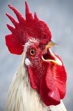 e70eb69bf563a7804ff2bcbbe857991c