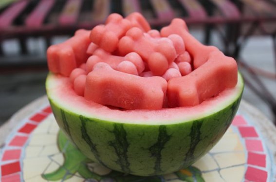 Frosty-Watermelon-Dog-Treat-Recipe