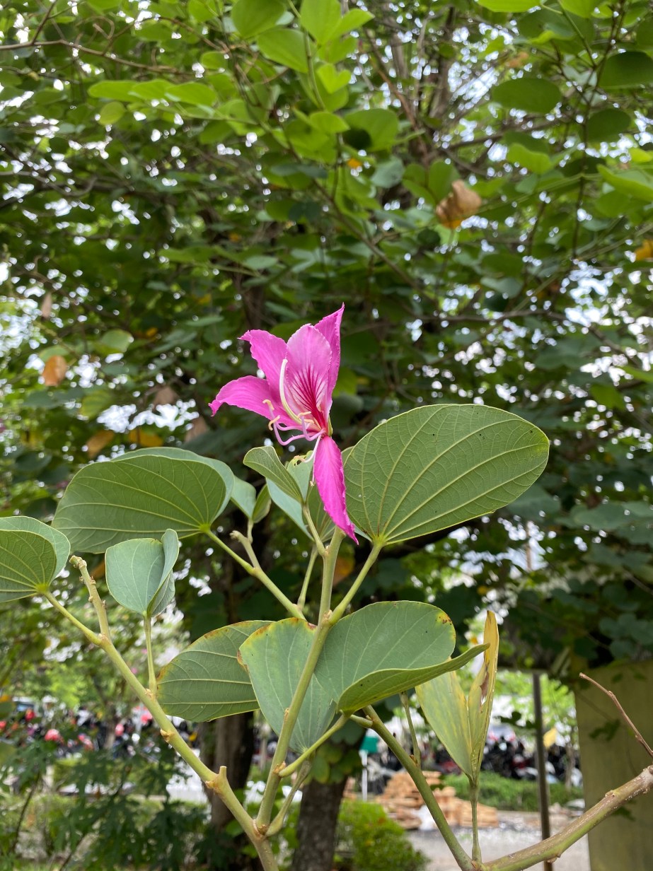 5291AAEB-D6BD-4B57-81DF-A9433AD32A44