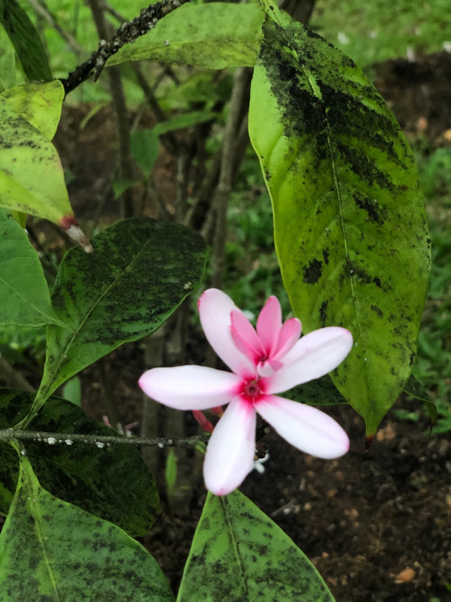 D0014A6B-79C5-4156-B649-4957A77EE932