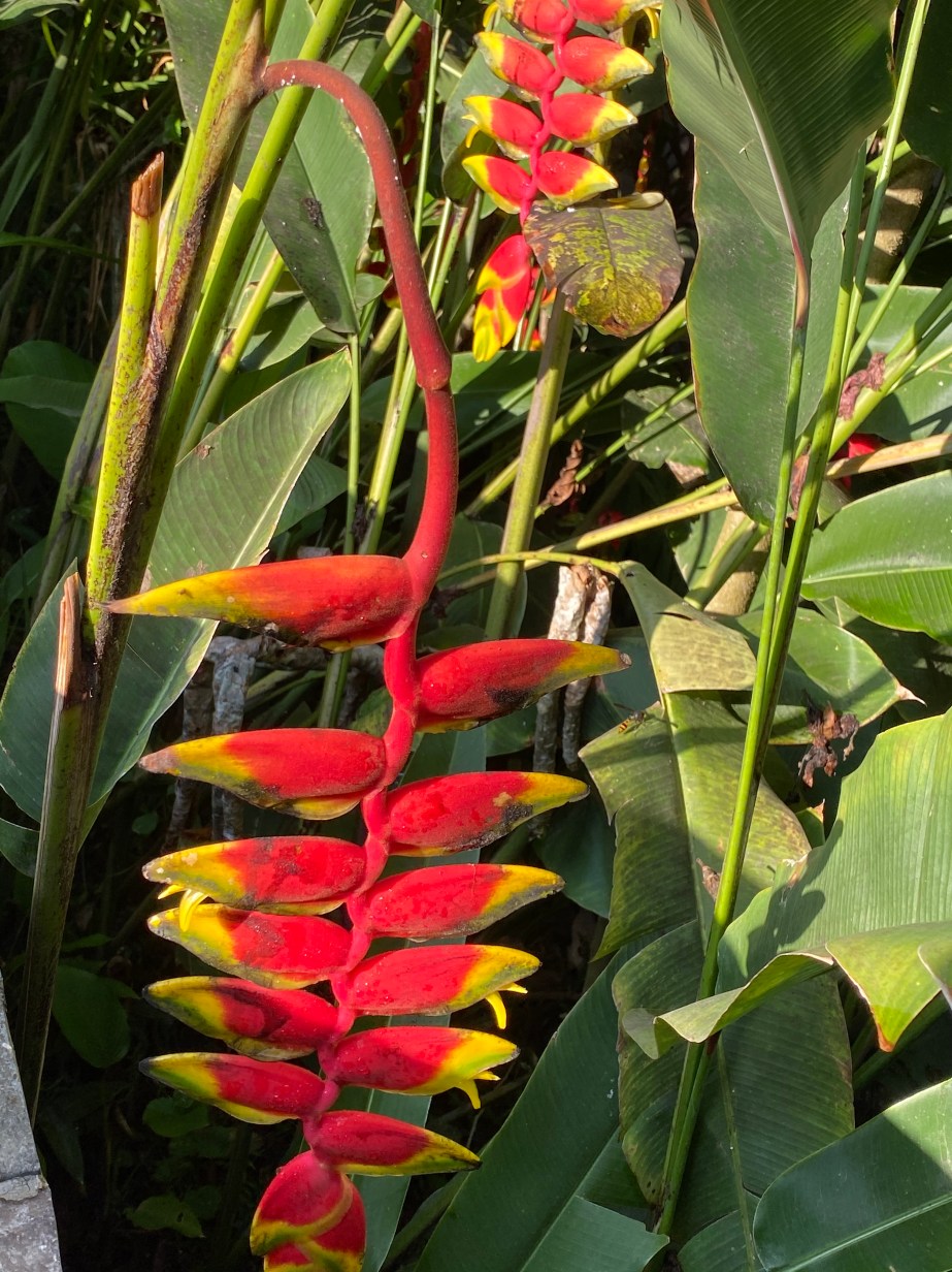 18FA7A61-6590-40E4-8824-1A95F29F3C76