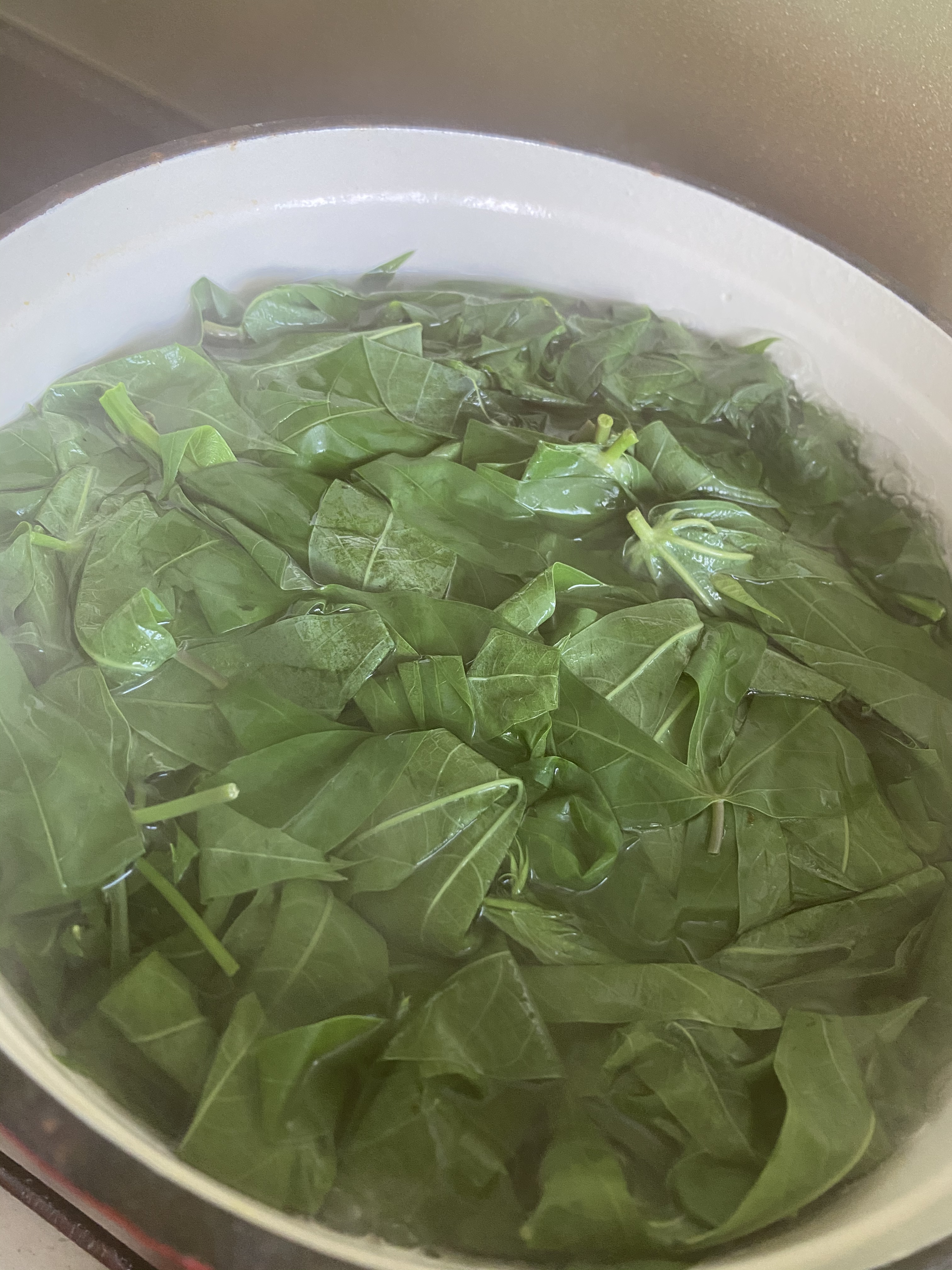 1875FB3A-9663-4184-9181-1F4992F843B1