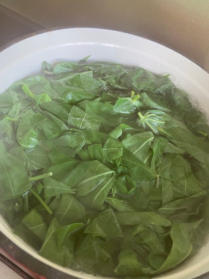 1875FB3A-9663-4184-9181-1F4992F843B1