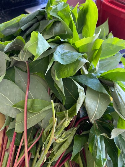 AE86B591-3026-49A0-AC3C-813AED0ED63B