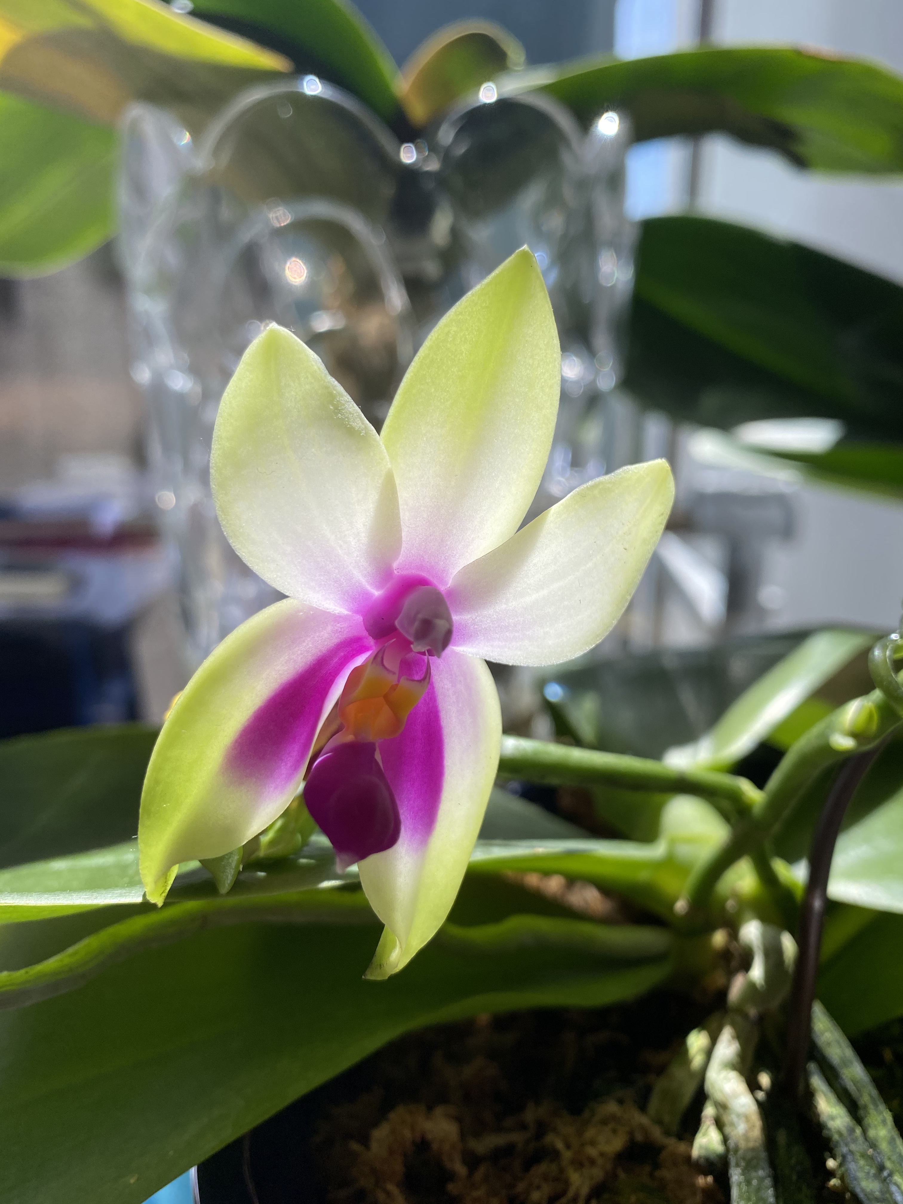 F9BE5EB7-ABB8-4935-BF01-AA829153FB68