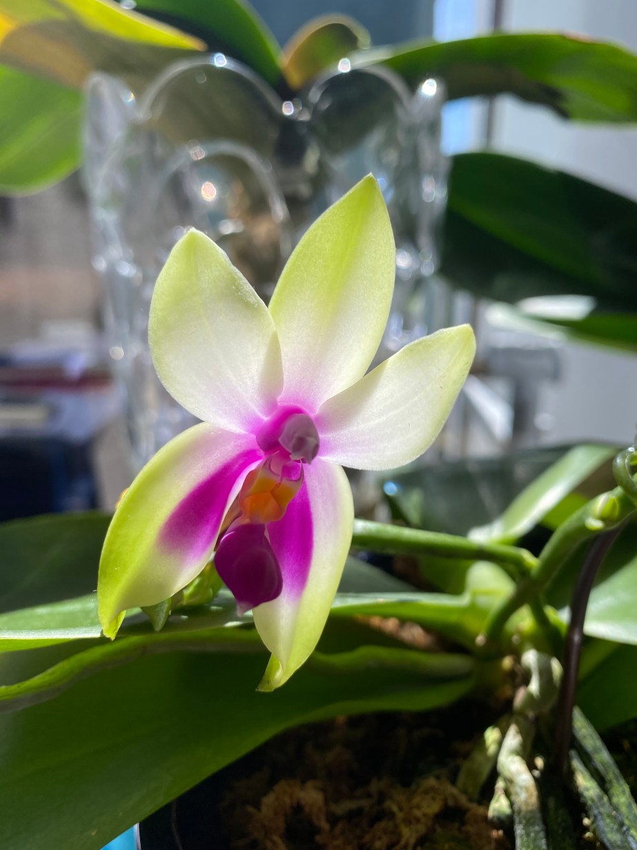 F9BE5EB7-ABB8-4935-BF01-AA829153FB68