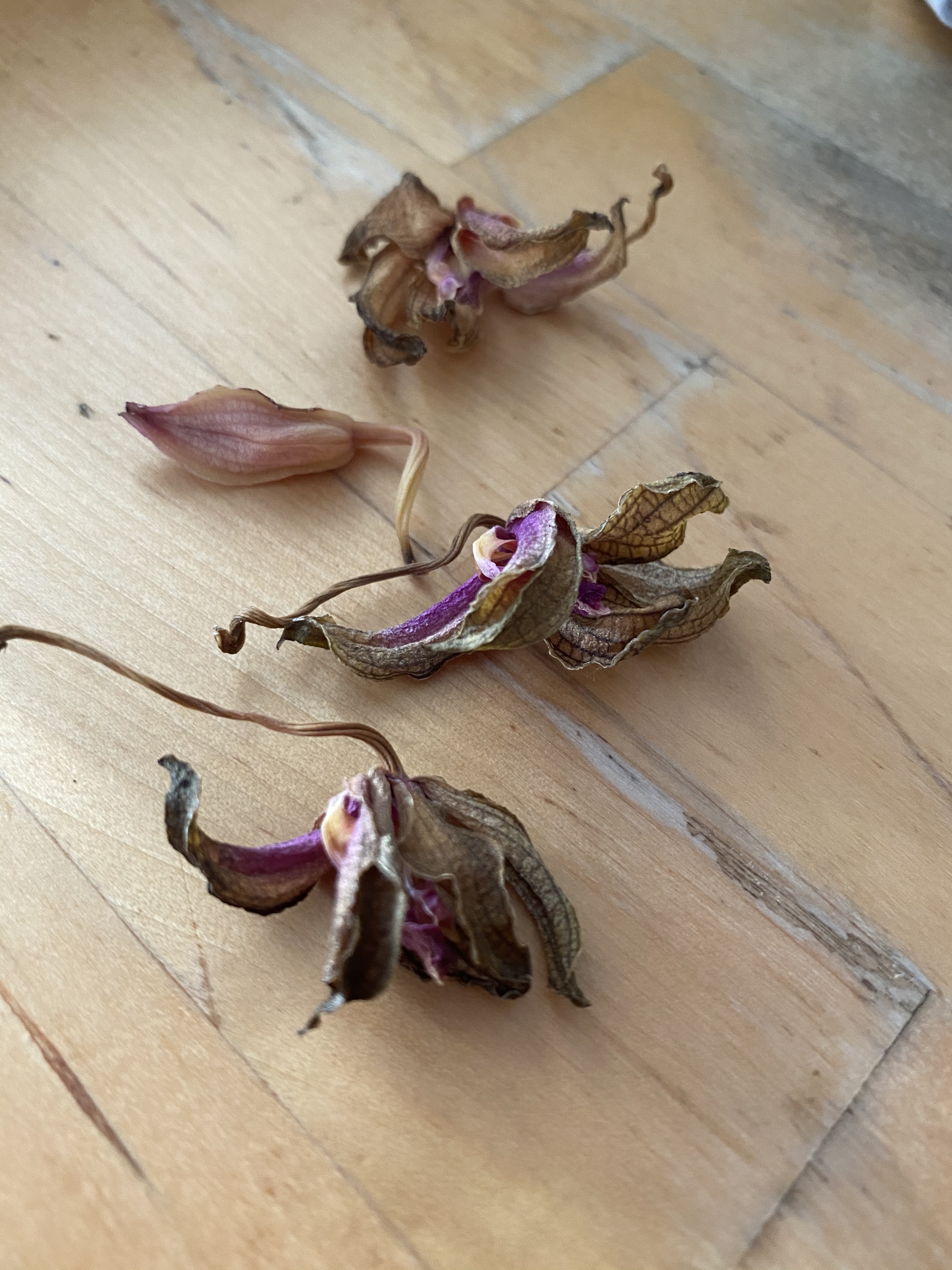 04BE0FBB-9A2E-48AD-B62E-B45563A92867